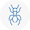 Ant Removals In Timperley