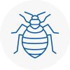 Bed Bug Extermination In Timperley