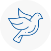 Bird Prevention Timperley
