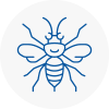 Timperley Hornet Nest Removals