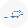 Mice Exterminators In Timperley